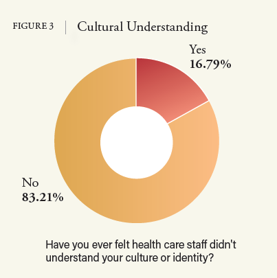 FIGURE 3 Cultural Understanding